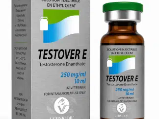 Vermodje Testover E (Testosterone Enanthate 250)